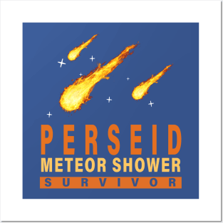 Perseid Meteor Shower Survivor 1 Posters and Art